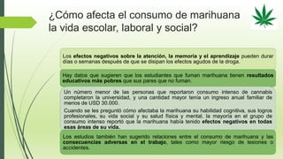 ¿Cómo afecta el consumo de marihuana
la vida escolar, laboral y social?
Los efectos negativos sobre la atención, la memoria y el aprendizaje pueden durar
días o semanas después de que se disipan los efectos agudos de la droga.
Hay datos que sugieren que los estudiantes que fuman marihuana tienen resultados
educativos más pobres que sus pares que no fuman.
Un número menor de las personas que reportaron consumo intenso de cannabis
completaron la universidad, y una cantidad mayor tenía un ingreso anual familiar de
menos de USD 30.000.
Cuando se les preguntó cómo afectaba la marihuana su habilidad cognitiva, sus logros
profesionales, su vida social y su salud física y mental, la mayoría en el grupo de
consumo intenso reportó que la marihuana había tenido efectos negativos en todas
esas áreas de su vida.
Los estudios también han sugerido relaciones entre el consumo de marihuana y las
consecuencias adversas en el trabajo, tales como mayor riesgo de lesiones o
accidentes.
 
