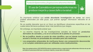 Es importante enfatizar que existe abundante investigación en curso, así como
análisis adicionales por este grupo, que podrían agregar información relevante en el
futuro.
No es posible descartar que en un futuro se identifiquen situaciones específicas en las
cuales estos fármacos pudiesen tener más beneficios que riesgos.
Sin embargo, es importante aclarar que:
 La enorme mayoría de las investigaciones actuales se basan en productos
derivados de cannabis, y no en el consumo de la planta sin procesar.
 No se justifica, desde un punto de vista científico, que se intente incrementar el
acceso a formas no procesadas de cannabis para uso medicinal.
 Los preparados artesanales de marihuana tienen una composición desconocida
y no cumplen estándares para ser utilizadas como medicamentos.
https://es.epistemonikos.cl/2018/05/03/fundacion-epistemonikos-y-organizaciones-adherentes-informan-el-uso-de-
cannabis-en-personas-enfermas-no-produce-mejoria-y-causa-dano-a-la-salud/
 