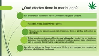 ¿Qué efectos tiene la marihuana?
Las experiencias placenteras no son universales: relajación y euforia.
Ansiedad, miedo, desconfianza o pánico.
Grandes dosis: psicosis aguda (alucinaciones, delirio y pérdida del sentido de
identidad).
Estas reacciones desagradables (tempse diferencian orarias) de los trastornos
psicóticos más duraderos (como la esquizofrenia) que pueden estar relacionados
con el consumo de marihuana en personas vulnerables.
Los efectos visibles de fumar duran entre 1-3 hs y son mayores por consumo de
alimentos o bebidas con marihuana.
 