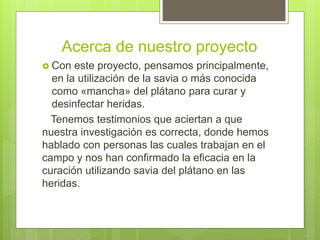 Acerca de nuestro proyecto
 Con este proyecto, pensamos principalmente,
en la utilización de la savia o más conocida
como «mancha» del plátano para curar y
desinfectar heridas.
Tenemos testimonios que aciertan a que
nuestra investigación es correcta, donde hemos
hablado con personas las cuales trabajan en el
campo y nos han confirmado la eficacia en la
curación utilizando savia del plátano en las
heridas.
 