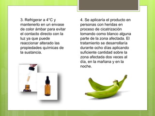 3. Refrigerar a 4°C y
mantenerlo en un envase
de color ámbar para evitar
el contacto directo con la
luz ya que puede
reaccionar alterado las
propiedades químicas de
la sustancia.
4. Se aplicaría el producto en
personas con heridas en
proceso de cicatrización
tomando como blanco alguna
parte de la zona afectada. El
tratamiento se desarrollaría
durante ocho días aplicando
suficiente cantidad sobre la
zona afectada dos veces al
día, en la mañana y en la
noche.
 