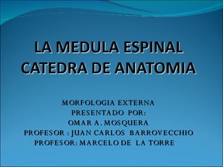 MORFOLOGIA EXTERNA PRESENTADO  POR: OMAR A. MOSQUERA PROFESOR : JUAN CARLOS  BARROVECCHIO PROFESOR: MARCELO DE  LA TORRE  
