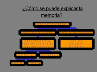 ¿Cómo se puede explicar la memoria?   