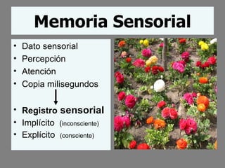 Memoria Sensorial Dato sensorial Percepción  Atención  Copia milisegundos Registro  sensorial   Implícito  ( inconsciente) Explícito  (consciente) 