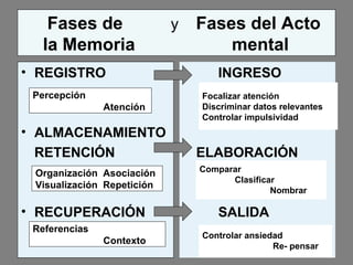 Fases de   y  Fases del Acto   la Memoria       mental REGISTRO ALMACENAMIENTO RETENCIÓN RECUPERACIÓN INGRESO ELABORACIÓN SALIDA Referencias Contexto Organización  Asociación Visualización  Repetición Percepción Atención Focalizar atención Discriminar datos relevantes Controlar impulsividad Comparar Clasificar Nombrar Controlar ansiedad Re- pensar 