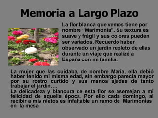 Memoria a Largo Plazo La mujer que las cuidaba, de nombre María, ella debió haber tenido mi misma edad, sin embargo parecía mayor por su rostro curtido y sus manos ajadas de tanto trabajar el jardín…. La delicadeza y blancura de esta flor se asemejan a mi felicidad de aquella época. Por ello cada domingo, al recibir a mis nietos es infaltable un ramo de  Marimonias  en  la mesa.  La flor blanca que vemos tiene por nombre “Marimonia”. Su textura es suave y frágil y sus colores pueden ser variados. Recuerdo haber observado un jardín repleto de ellas durante un viaje que realizé a España con mi familia.  