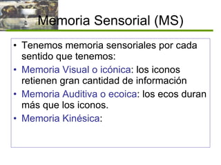Memoria Sensorial (MS) Tenemos memoria sensoriales por cada sentido que tenemos: Memoria Visual o icónica : los iconos retienen gran cantidad de información Memoria Auditiva o ecoica : los ecos duran más que los iconos. Memoria Kinésica : 