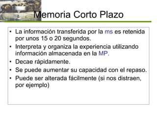 Memoria Corto Plazo La información transferida por la  ms  es retenida por unos 15 o 20 segundos. Interpreta y organiza la experiencia utilizando información almacenada en la  MP. Decae rápidamente. Se puede aumentar su capacidad con el repaso. Puede ser alterada fácilmente (si nos distraen, por ejemplo) 