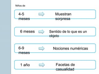 Niños de
4-5
meses
Muestran
sorpresa
1 año
6-9
meses
6 meses Sentido de lo que es un
objeto
Nociones numéricas
Facetas de
casualidad
 