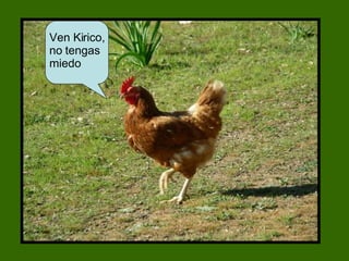 Ven Kirico, no tengas miedo