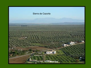 Sierra de Cazorla