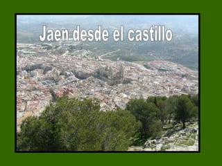 Jaen desde el castillo