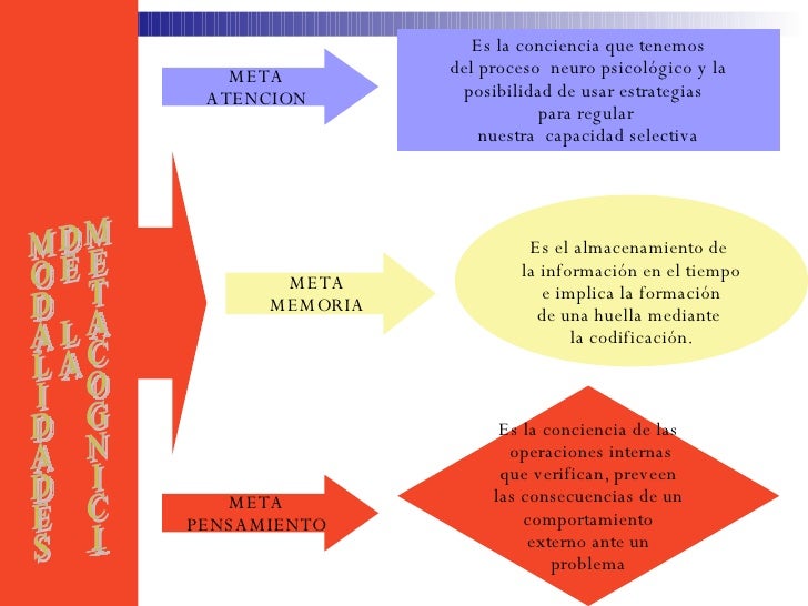 La Metacognicion Esperanza