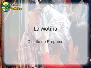 La Molina Distrito de Progreso 