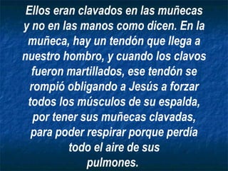 Ellos eran clavados en las muñecas y no en las manos como dicen. En la muñeca, hay un tendón que llega a nuestro hombro, y cuando los clavos fueron martillados, ese tendón se rompió obligando a Jesús a forzar todos los músculos de su espalda, por tener sus muñecas clavadas, para poder respirar porque perdía todo el aire de sus pulmones.   