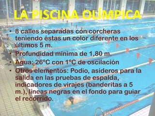 LA PISCINA OLÍMPICA
• 8 calles separadas con corcheras
teniendo éstas un color diferente en los
últimos 5 m.
• Profundidad mínima de 1,80 m.
• Agua: 26ºC con 1ºC de oscilación
• Otros elementos: Podio, asideros para la
salida en las pruebas de espalda,
indicadores de virajes (banderitas a 5
m.), líneas negras en el fondo para guiar
el recorrido.
 