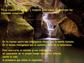 Tú no creaste tu cuerpo, y tampoco eres capaz de controlar las funciones corporales. En tu cuerpo opera una inteligencia mayor que la mente humana.   Es la misma inteligencia que lo sustenta todo en la naturaleza. Para acercarte al máximo a esa inteligencia,  sé consciente de tu propio campo energético interno,  siente la vida,  la presencia que anima el organismo. 