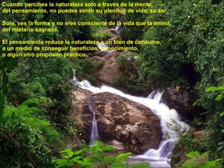 Cuando percibes la naturaleza solo a través de la mente,  del pensamiento, no puedes sentir su plenitud de vida, su ser.   Solo, ves la forma y no eres consciente de la vida que la anima,  del misterio sagrado.   El pensamiento reduce la naturaleza a un bien de consumo,  a un medio de conseguir beneficios, conocimiento,  o algún otro propósito práctico 