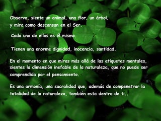 Observa, siente un animal, una flor, un árbol,  y mira como descansan en el Ser.      Es una armonía, una sacralidad que, además de compenetrar la totalidad de la naturaleza, también esta dentro de ti..     Cada uno de ellos es él mismo.   Tienen una enorme dignidad, inocencia, santidad.   En el momento en que miras más allá de las etiquetas mentales, sientes la dimensión inefable de la naturaleza, que no puede ser comprendida por el pensamiento.      