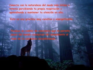 Conecta con la naturaleza del modo más íntimo e interno percibiendo tu propia respiración y aprendiendo a mantener tu atención en ella. Esta es una práctica muy curativa y energetizante. Produce un cambio de conciencia que te permite pasar del mundo conceptual del pensamiento al ramo de la conciencia incondicionada.   