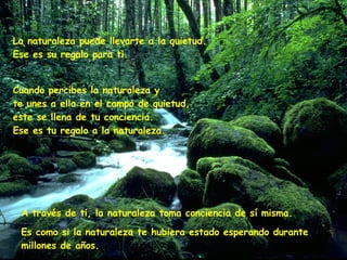 La naturaleza puede llevarte a la quietud.   Ese es su regalo para ti. A través de ti, la naturaleza toma conciencia de sí misma. Cuando percibes la naturaleza y  te unes a ella en el campo de quietud,  este se llena de tu conciencia.   Ese es tu regalo a la naturaleza. Es como si la naturaleza te hubiera estado esperando durante millones de años.   