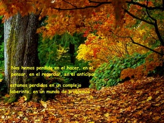 Nos hemos perdido en el hacer, en el pensar, en el recordar, en el anticipar: estamos perdidos en un complejo laberinto, en un mundo de problemas.   