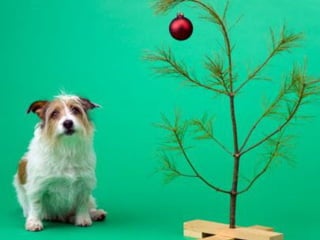 Para los SENCILLOS... 