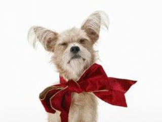 Para los PESIMISTAS... 