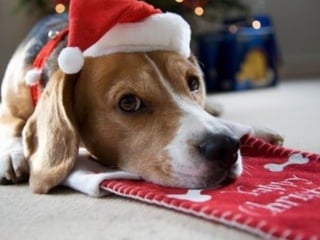 Para los  ABURRIDOS... 