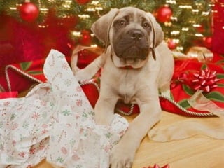 Para los que RECIBEN... 