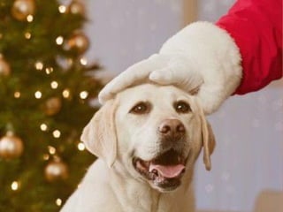 Para los que  SI CREEN... 