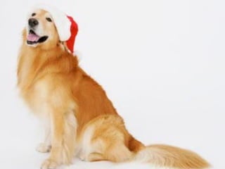 Para los que celebran SOLOS... 