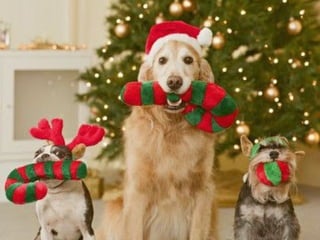 Para los que celebran CON AMIGOS... 