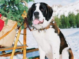 Para los que TRABAJAN... 