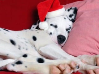 Para los que DESCANSAN... 