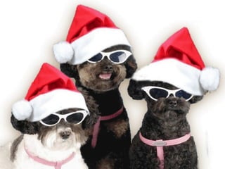 Para los extrovertidos... 