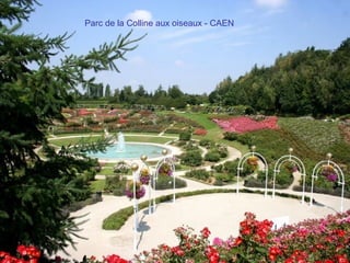 Parc de la Colline aux oiseaux - CAEN
 