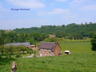 Bocage Normand
 