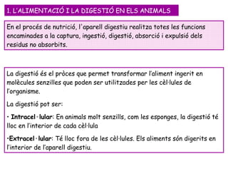 En el procés de nutrició, l'aparell digestiu realitza totes les funcions encaminades a la captura, ingestió, digestió, absorció i expulsió dels residus no absorbits. 1. L’ALIMENTACIÓ I LA DIGESTIÓ EN ELS ANIMALS  La digestió és el pròces que permet transformar l’aliment ingerit en molècules senzilles que poden ser utilitzades per les cèl·lules de l’organisme. La digestió pot ser: Intracel·lular : En animals molt senzills, com les esponges, la digestió té lloc en l’interior de cada cèl·lula Extracel·lular : Té lloc fora de les cèl·lules. Els aliments són digerits en l’interior de l’aparell digestiu. 