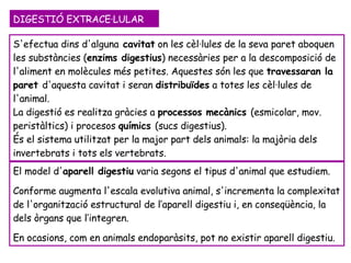 S'efectua dins d'alguna  cavitat  on les cèl·lules de la seva paret aboquen les substàncies ( enzims digestius ) necessàries per a la descomposició de l'aliment en molècules més petites.  Aquestes són les que  travessaran la paret  d'aquesta cavitat i seran  distribuïdes  a totes les cèl·lules de l'animal. La digestió es realitza gràcies a  processos mecànics  (esmicolar, mov. peristàltics) i procesos  químics  (sucs digestius).  És el sistema utilitzat per la major part dels animals: la majòria dels invertebrats i tots els vertebrats.  DIGESTIÓ EXTRACE·LULAR El model d' aparell digestiu  varia segons el tipus d'animal que estudiem.  Conforme augmenta l'escala evolutiva animal, s'incrementa la complexitat de l'organització estructural de l’aparell digestiu i, en conseqüència, la dels òrgans que l’integren.  En ocasions, com en animals endoparàsits, pot no existir aparell digestiu.  