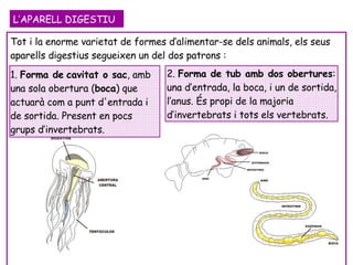 L’APARELL DIGESTIU Tot i la enorme varietat de formes d’alimentar-se dels animals, els seus aparells digestius segueixen un del dos patrons : 2.  Forma de tub amb dos obertures : una d’entrada, la boca, i un de sortida, l’anus. És propi de la majoria d’invertebrats i tots els vertebrats. 1.  Forma de   cavitat o sac , amb una sola obertura ( boca ) que actuarà com a punt d'entrada i de sortida. Present en pocs grups d’invertebrats. 