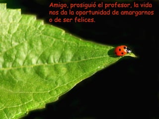 Amigo, prosiguió el profesor, la vida
nos da la oportunidad de amargarnos
o de ser felices.
 