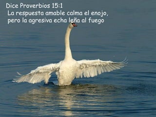 Dice Proverbios 15:1 
La respuesta amable calma el enojo, 
 pero la agresiva echa leña al fuego
 