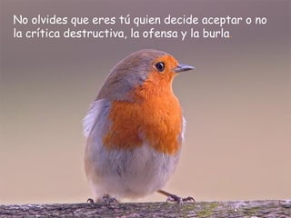 No olvides que eres tú quien decide aceptar o no
la crítica destructiva, la ofensa y la burla.
 