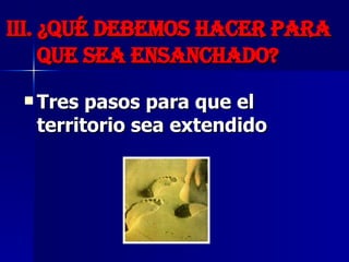 III.  ¿ Qué debemos hacer para que sea ensanchad O? Tres pasos para que el territorio sea extendido   