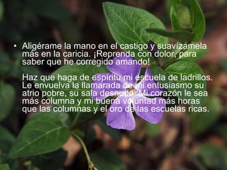 Aligérame la mano en el castigo y suavízamela más en la caricia. ¡Reprenda con dolor, para saber que he corregido amando!  Haz que haga de espíritu mi escuela de ladrillos. Le envuelva la llamarada de mi entusiasmo su atrio pobre, su sala desnuda. Mi corazón le sea más columna y mi buena voluntad más horas que las columnas y el oro de las escuelas ricas.  