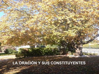 LA ORACIÓN Y SUS CONSTITUYENTES LA ORACIÓN Y SUS CONSTITUYENTES 