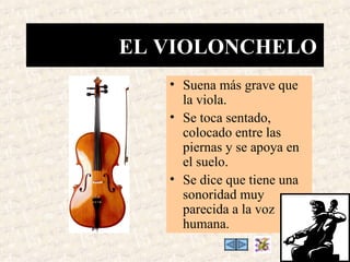 EL VIOLONCHELO
   • Suena más grave que
     la viola.
   • Se toca sentado,
     colocado entre las
     piernas y se apoya en
     el suelo.
   • Se dice que tiene una
     sonoridad muy
     parecida a la voz
     humana.
 