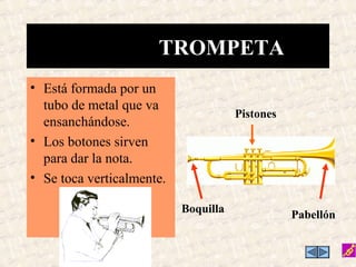 • Está formada por un
tubo de metal que va
ensanchándose.
• Los botones sirven
para dar la nota.
• Se toca verticalmente.
TROMPETA
Pistones
Boquilla
Pabellón
 