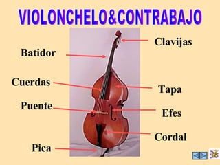 VIOLONCHELO&CONTRABAJO Pica Clavijas Batidor Cuerdas Tapa Puente Efes Cordal 